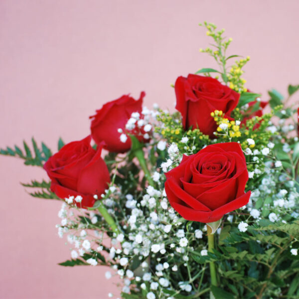 Ramo de 6 rosas Valparaíso