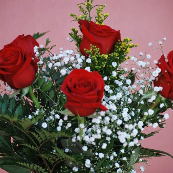 Ramo de 6 rosas Valparaíso