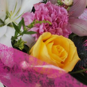 Caja de flores Baviera