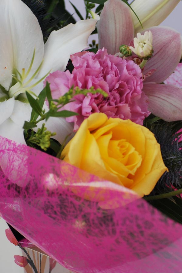 Caja de flores Baviera Caja de flores Baviera