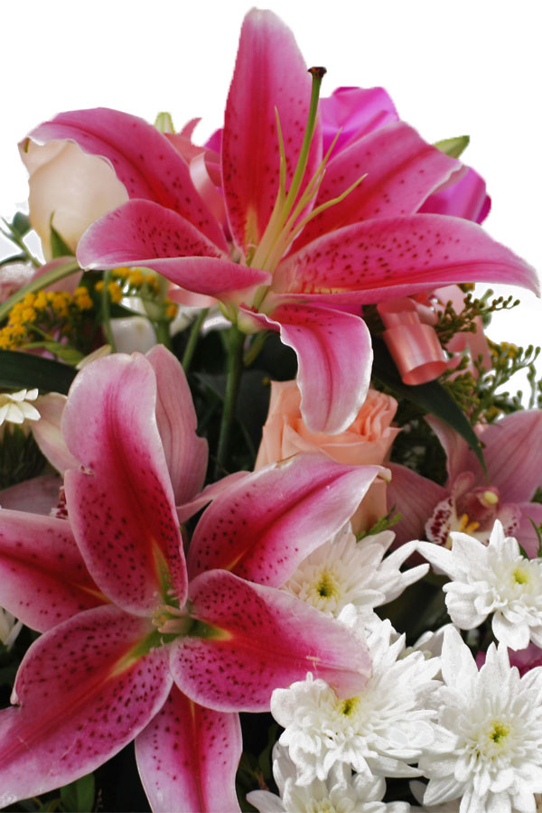 comprar cesta de flores comprar cesta de flores